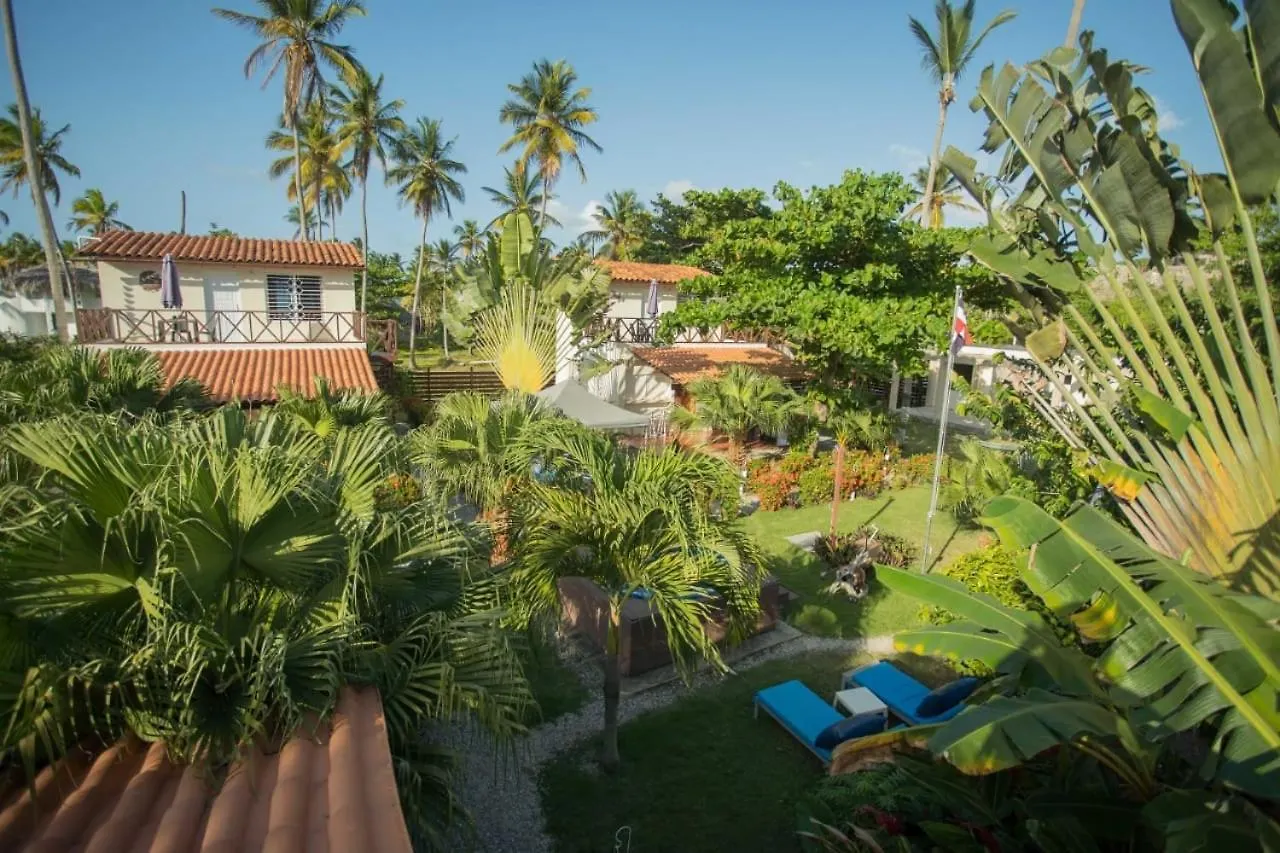 21 Palms Hotel Las Galeras Guest house