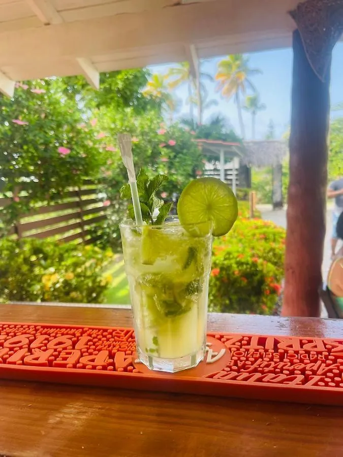 21 Palms Hotel Las Galeras Guest house