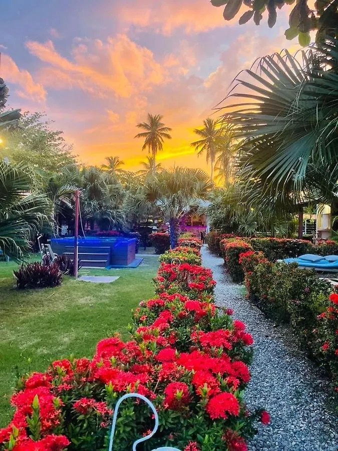 21 Palms Hotel Las Galeras Guest house