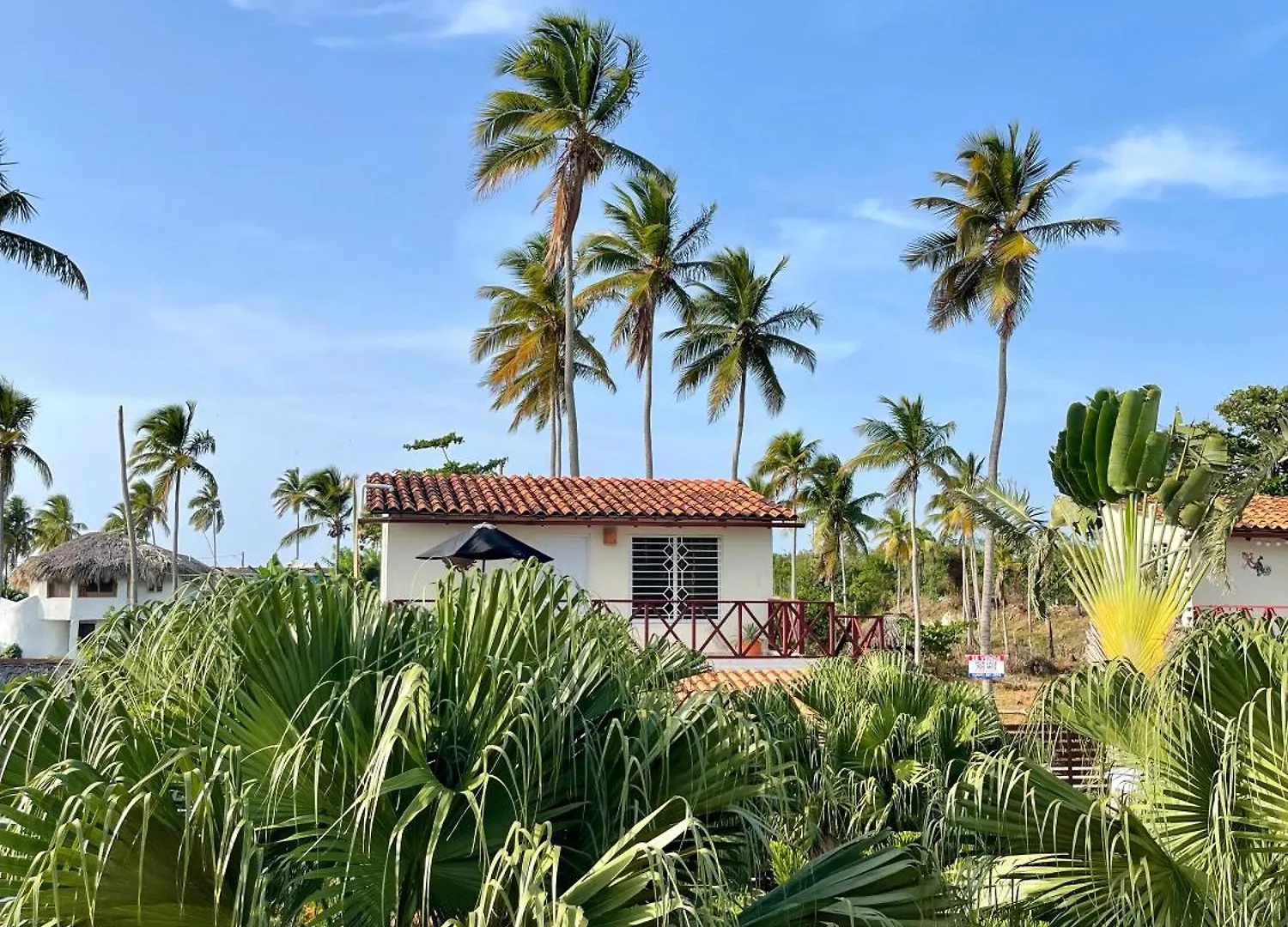 21 Palms Hotel Las Galeras 3*,  Dominican Republic