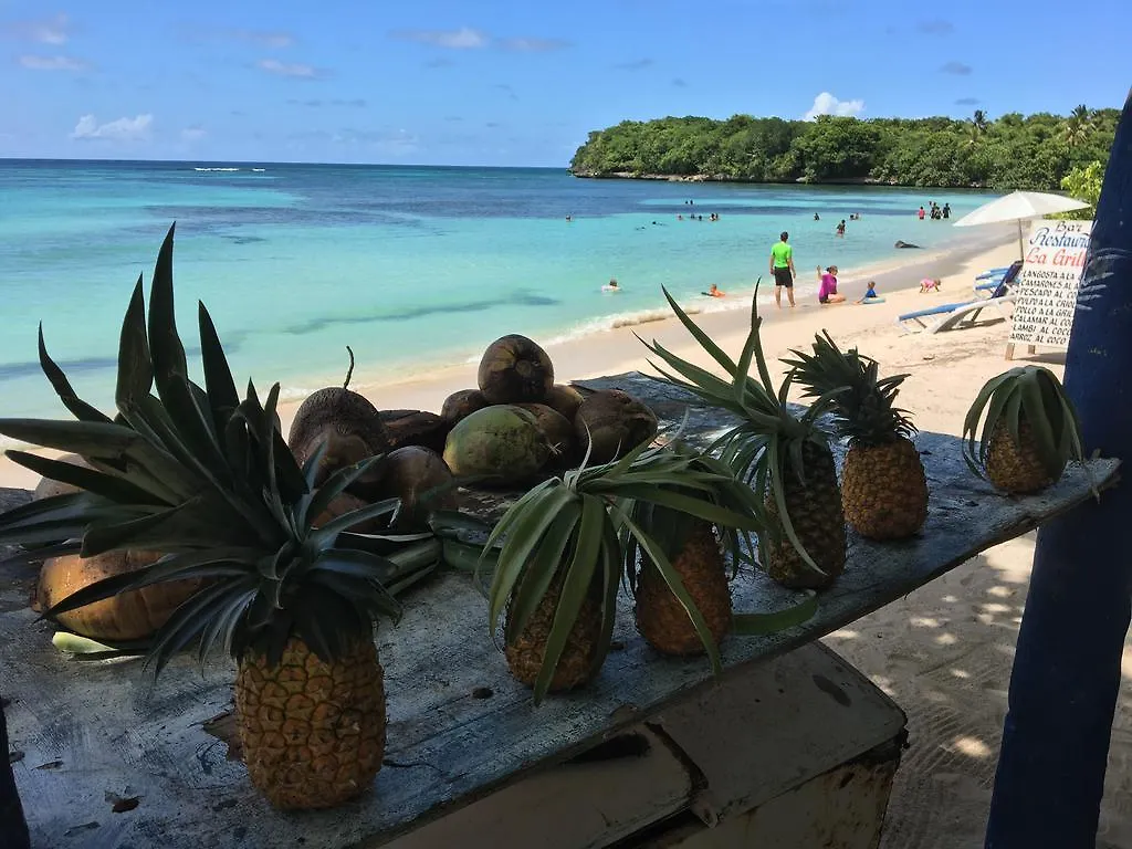 21 Palms Hotel Las Galeras