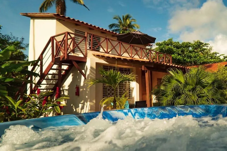 21 Palms Hotel Las Galeras Guest house